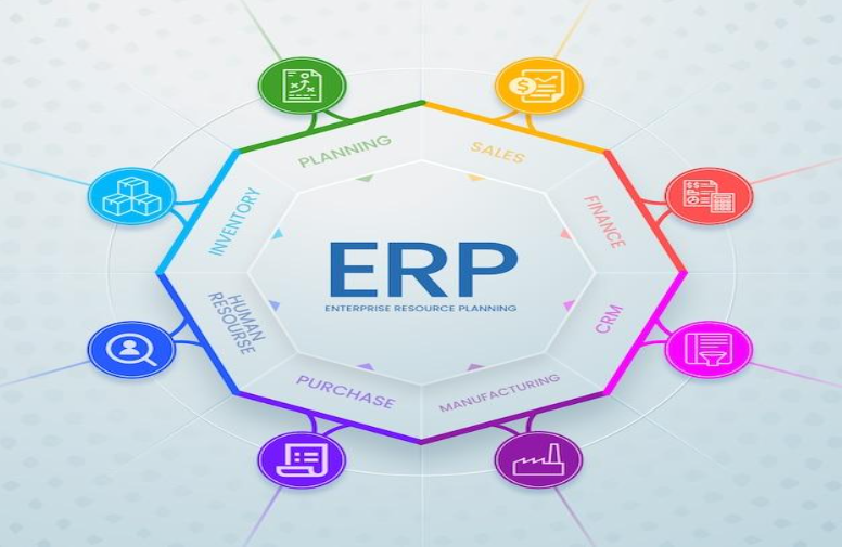 erp consultants, About Us