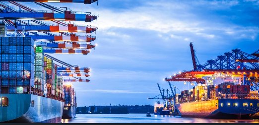 Container ship and port cranes.